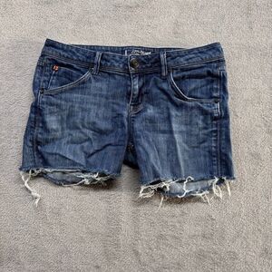 Hudson Jorts Womens‎ Measured 31x4 Blue Pocket Flaps